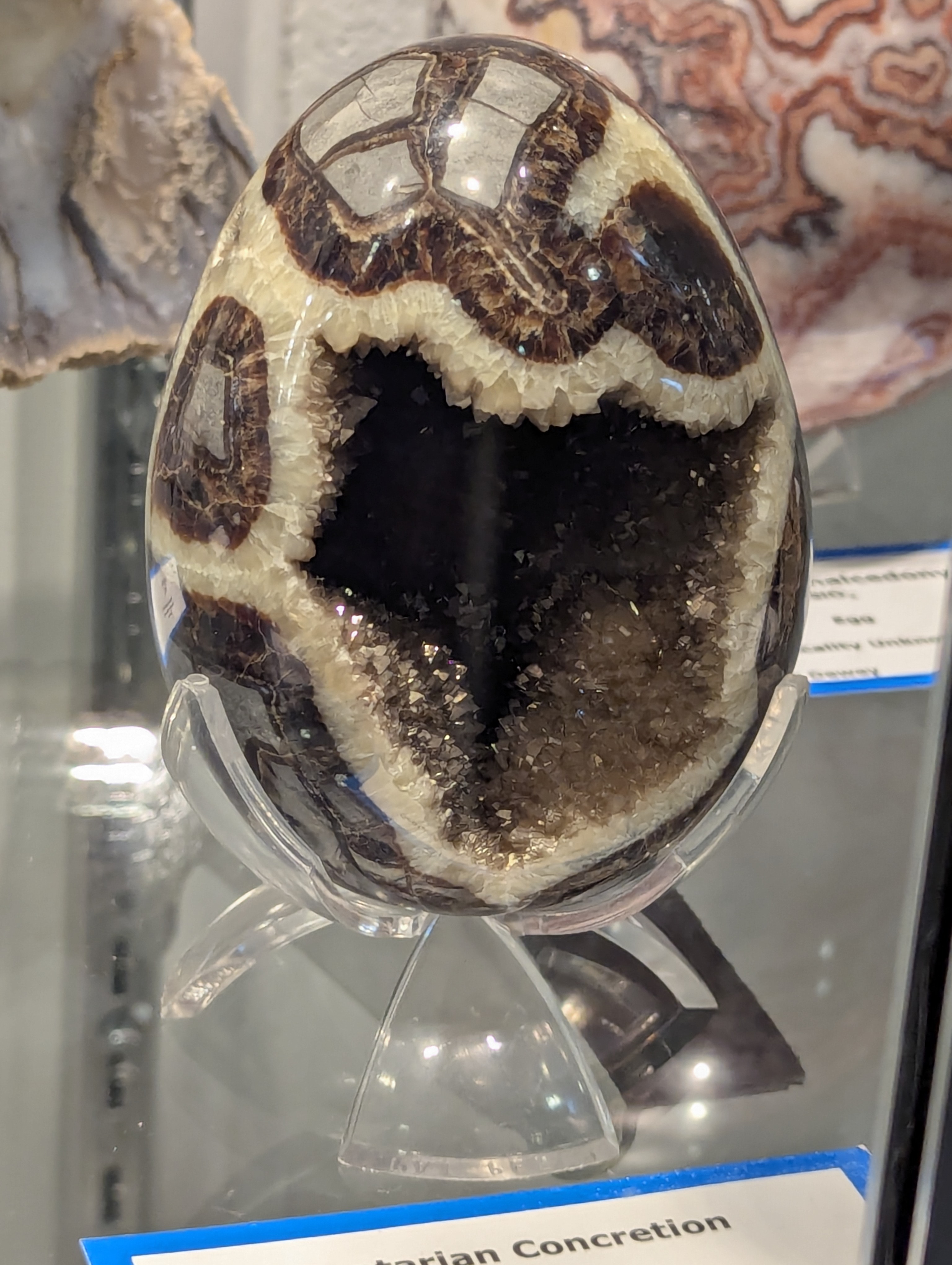 Colorado School of Mines, Geology Museum